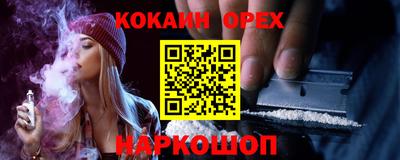 гашик Кунгур