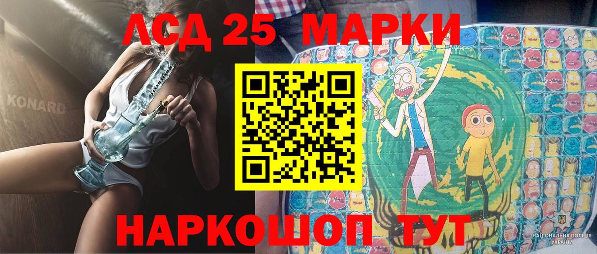 Псилоцибиновые грибы Ковров
