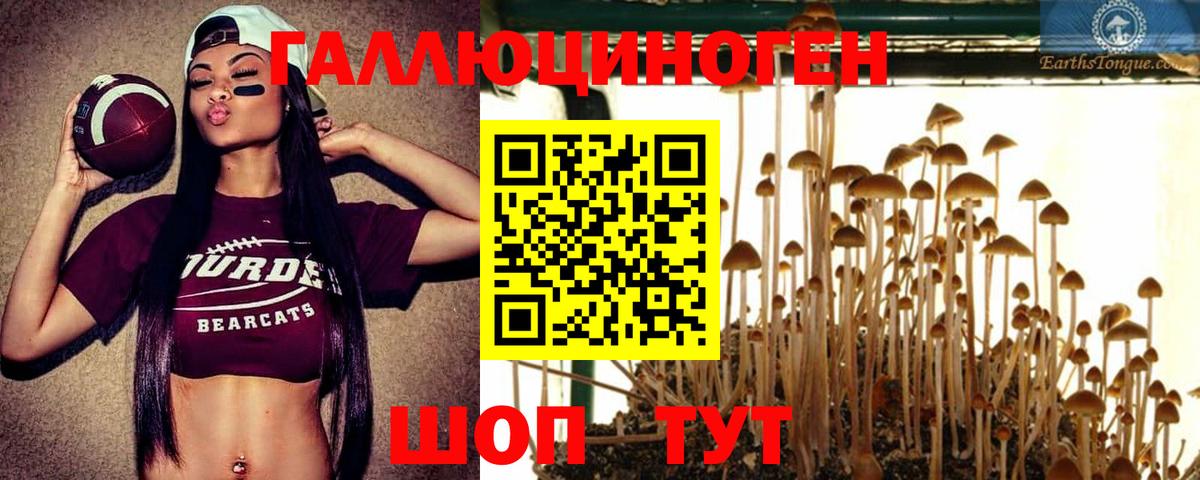 Ковров  Псилоцибиновые грибы прущие грибы  Вход с VPN  Галлюциногенные грибы GOLDEN TEACHER 
